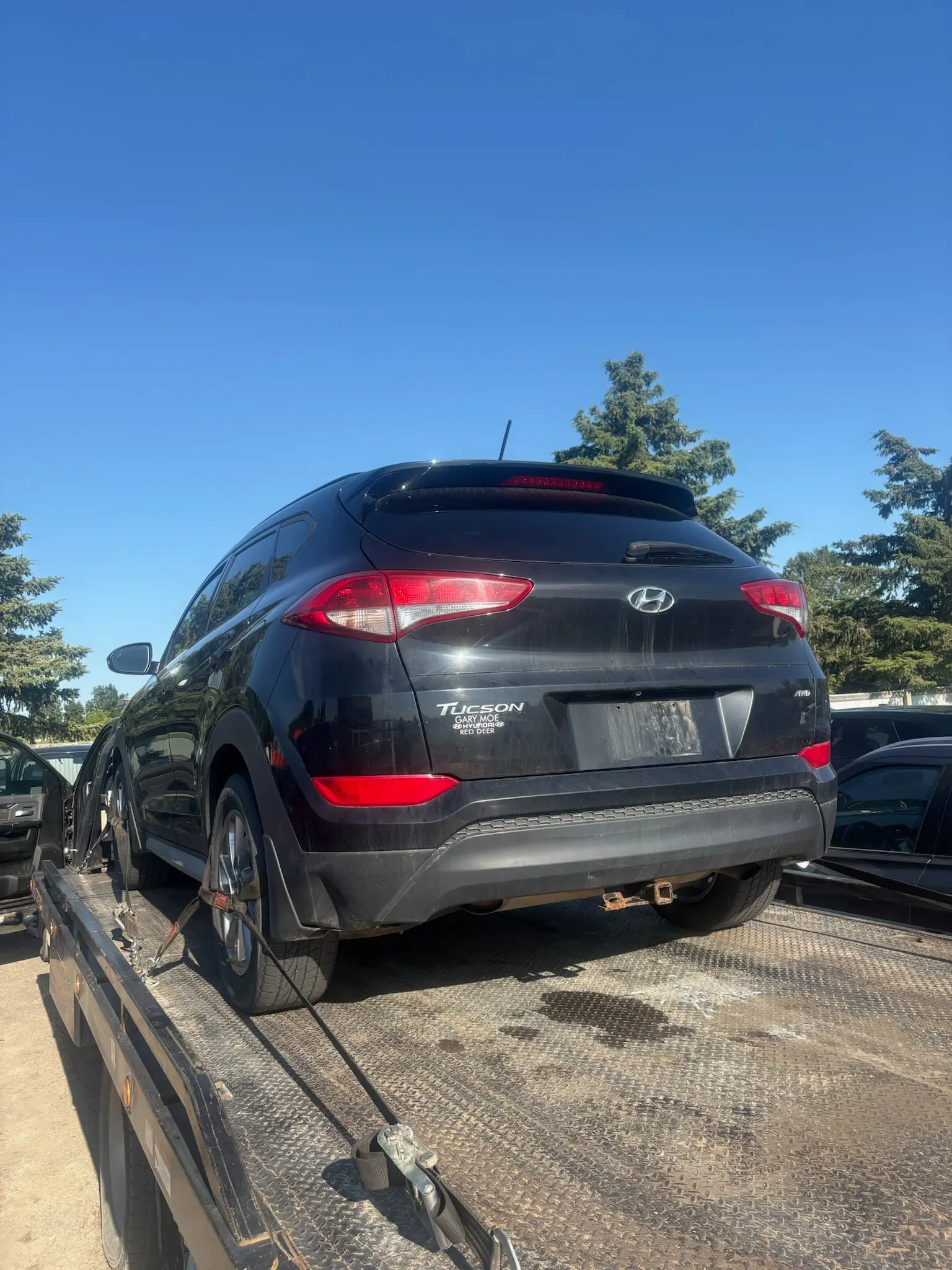 Vehicle types Canmore Car Buyers handles